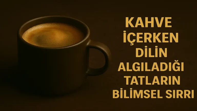 Kahve İçerken Dilin Algıladığı Tatların Bilimsel Sırrı